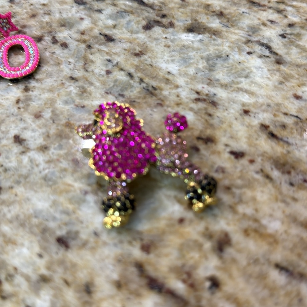 2 Pc Bundle Pretty In Pink #40 Dangling Earrings &  Rhinestone Poodle Brooch Pin - Picture 6 of 11
